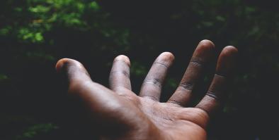 Open palm hand of a black adult reaching towards the tree filled sky