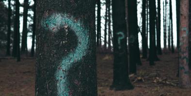 Trees with question marks painted on the sides.