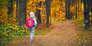 Child exploring the woods.