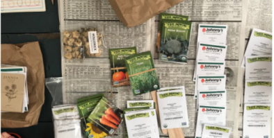Seed Packets arranged on a newspaper-covered table