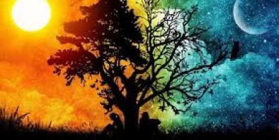 Day and Night