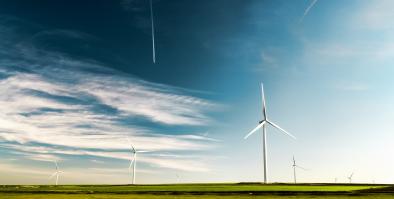 Energy Field