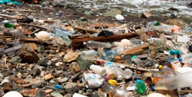 Beach scene littered with trash