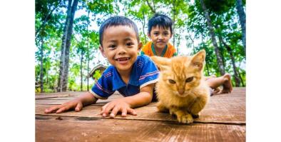 Children imitating cat movements 