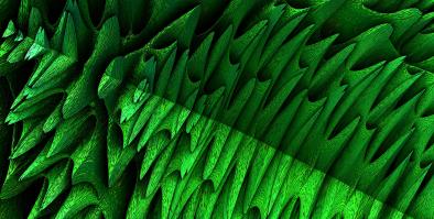 Fractal Rendering Background Green Graphic