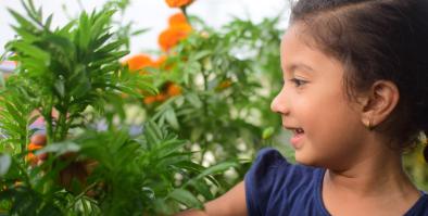 a child standing in a garden with orange flowers